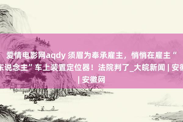 爱情电影网aqdy 须眉为奉承雇主，悄悄在雇主“仇东说念主”车上装置定位器！法院判了_大皖新闻 | 安徽网