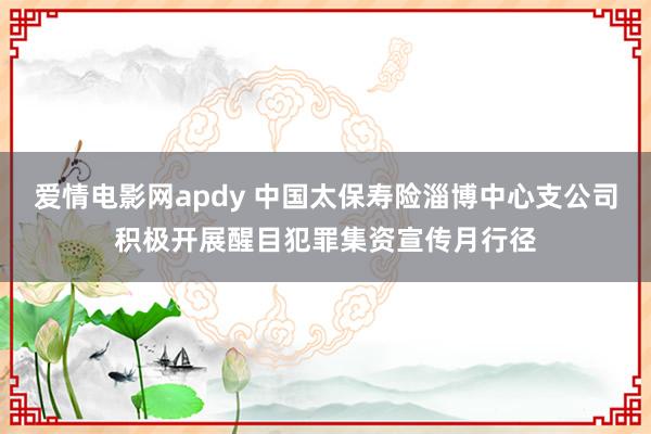 爱情电影网apdy 中国太保寿险淄博中心支公司积极开展醒目犯罪集资宣传月行径