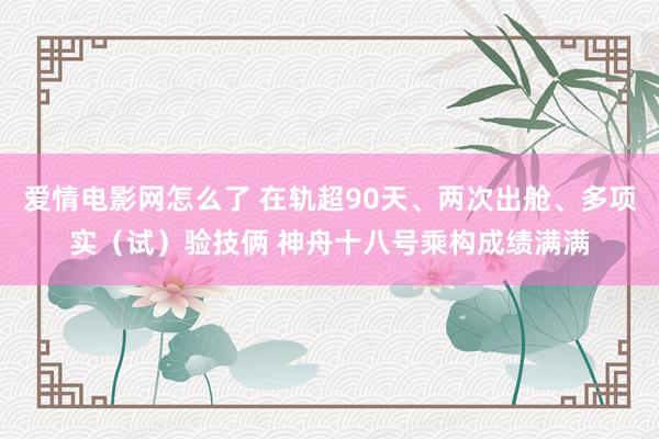 爱情电影网怎么了 在轨超90天、两次出舱、多项实（试）验技俩 神舟十八号乘构成绩满满