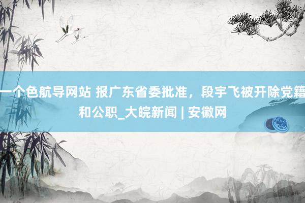 一个色航导网站 报广东省委批准，段宇飞被开除党籍和公职_大皖新闻 | 安徽网