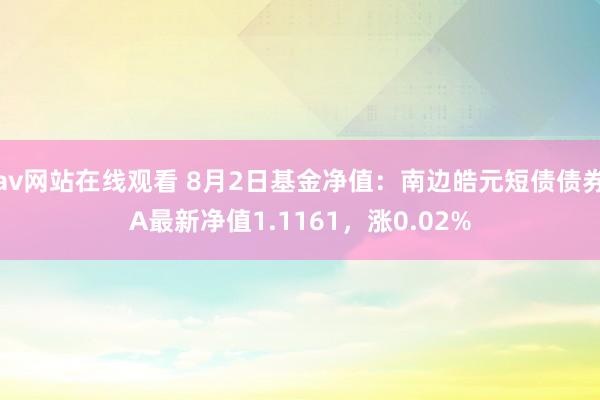 av网站在线观看 8月2日基金净值：南边皓元短债债券A最新净值1.1161，涨0.02%