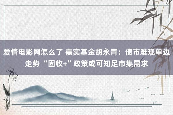 爱情电影网怎么了 嘉实基金胡永青：债市难现单边走势 “固收+”政策或可知足市集需求