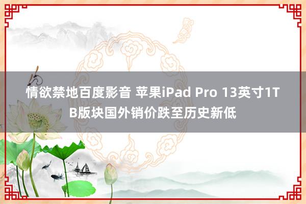 情欲禁地百度影音 苹果iPad Pro 13英寸1TB版块国外销价跌至历史新低