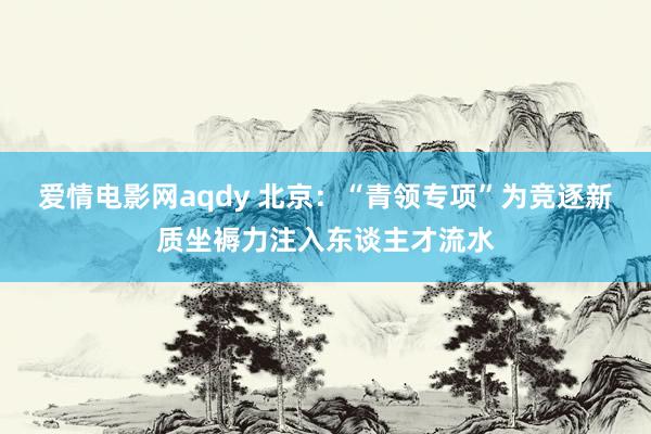 爱情电影网aqdy 北京：“青领专项”为竞逐新质坐褥力注入东谈主才流水