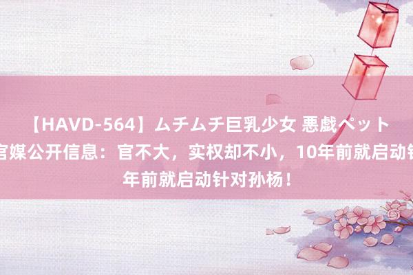 【HAVD-564】ムチムチ巨乳少女 悪戯ペット めぐみ 官媒公开信息：官不大，实权却不小，10年前就启动针对孙杨！