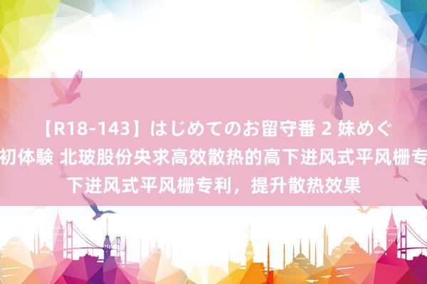 【R18-143】はじめてのお留守番 2 妹めぐちゃんのドキドキ初体験 北玻股份央求高效散热的高下进风式平风栅专利，提升散热效果