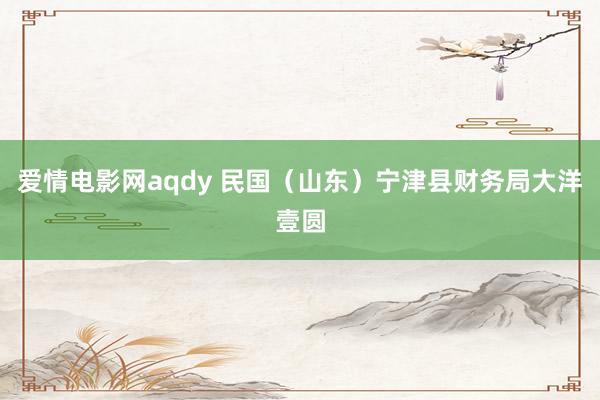 爱情电影网aqdy 民国（山东）宁津县财务局大洋壹圆