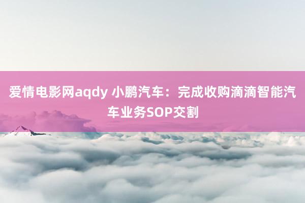 爱情电影网aqdy 小鹏汽车：完成收购滴滴智能汽车业务SOP交割