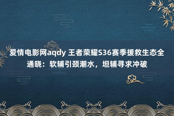 爱情电影网aqdy 王者荣耀S36赛季援救生态全通晓：软辅引颈潮水，坦辅寻求冲破