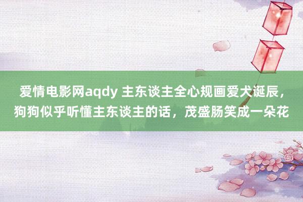 爱情电影网aqdy 主东谈主全心规画爱犬诞辰，狗狗似乎听懂主东谈主的话，茂盛肠笑成一朵花