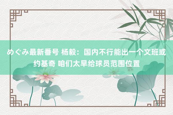 めぐみ最新番号 杨毅：国内不行能出一个文班或约基奇 咱们太早给球员范围位置