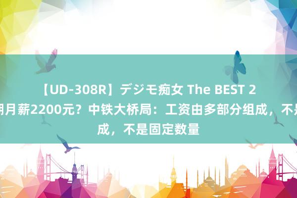 【UD-308R】デジモ痴女 The BEST 2 硕士试用期月薪2200元？中铁大桥局：工资由多部分组成，不是固定数量