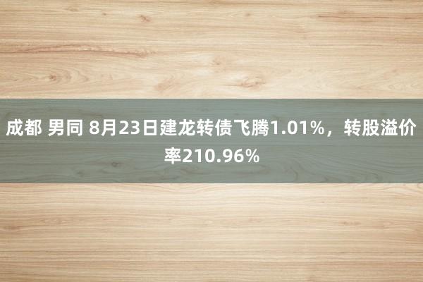 成都 男同 8月23日建龙转债飞腾1.01%，转股溢价率210.96%