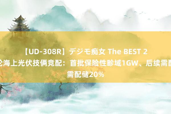 【UD-308R】デジモ痴女 The BEST 2 上海首轮海上光伏技俩竞配：首批保险性畛域1GW、后续需配储20%