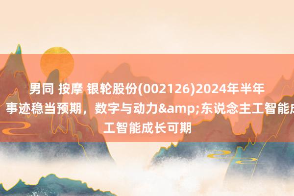 男同 按摩 银轮股份(002126)2024年半年报点评：事迹稳当预期，数字与动力&东说念主工智能成长可期