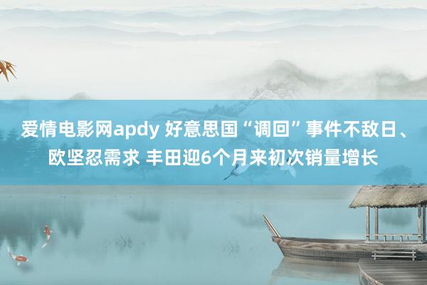 爱情电影网apdy 好意思国“调回”事件不敌日、欧坚忍需求 丰田迎6个月来初次销量增长