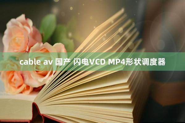 cable av 国产 闪电VCD MP4形状调度器