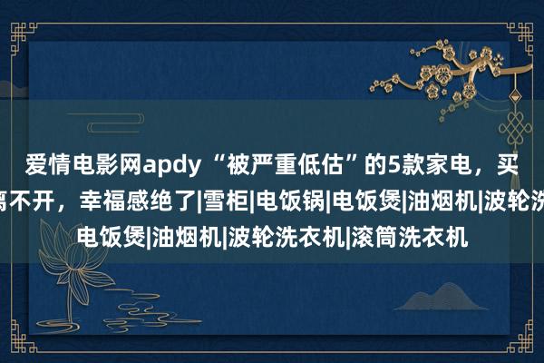 爱情电影网apdy “被严重低估”的5款家电，买前瞧不上，买后离不开，幸福感绝了|雪柜|电饭锅|电饭煲|油烟机|波轮洗衣机|滚筒洗衣机