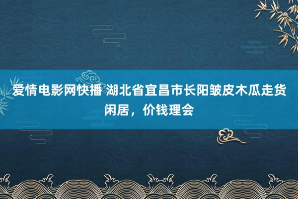 爱情电影网快播 湖北省宜昌市长阳皱皮木瓜走货闲居，价钱理会