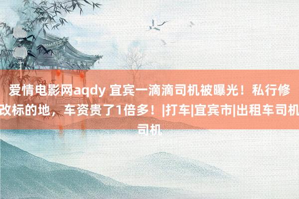 爱情电影网aqdy 宜宾一滴滴司机被曝光！私行修改标的地，车资贵了1倍多！|打车|宜宾市|出租车司机